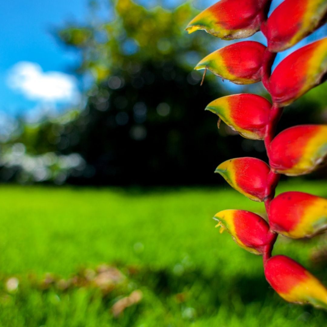 tarifas-promocoes tarifas-promocoes